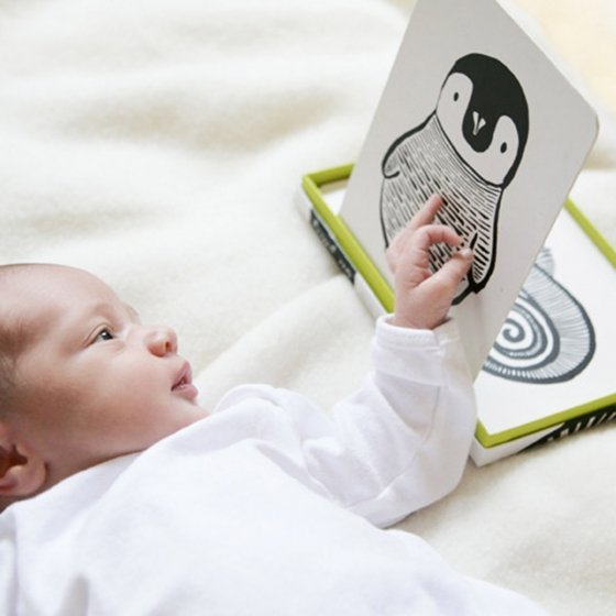 Imagier pour les enfants dès 2 ans: Livre d'éveil pour les bébés de 18 à 36  mois | Apprendre et découvrir plus de 150 mots quotidiens | Grand imagier