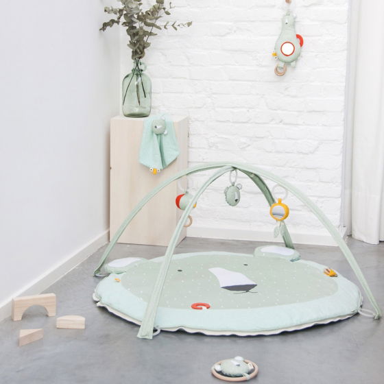 Arches Et Tapis D Activite Les Petits Raffineurs